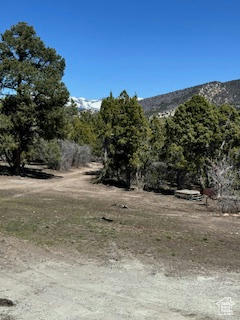 2 SOUTH HOLLOW HOLW # 2, MAYFIELD, UT 84643, photo 3 of 18