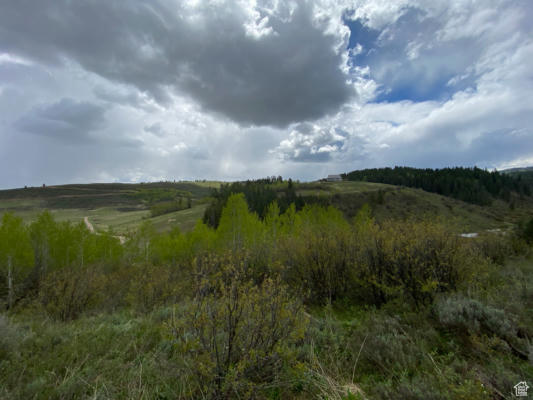 41 GROUSE LOOP RD # 41, FREEDOM, WY 83120 - Image 1