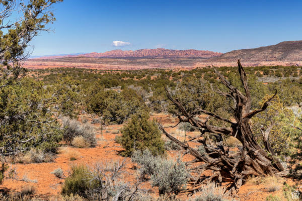 40 FLAT IRON MESA RD # 40, MOAB, UT 84532, photo 2 of 21