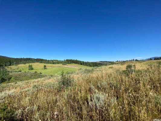 50 GROUSE LOOP RD # 50, WAYAN, ID 83285 - Image 1